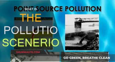 Air, Water, Earth: Pollution's Impact
