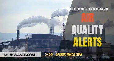 Air Quality Alerts: Understanding Pollution Types