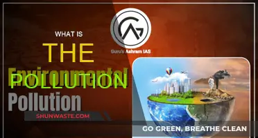 Understanding Pollution: Its Causes and Effects