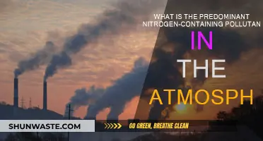 Nitrogen Pollution: Understanding the Air We Breathe