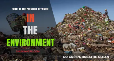 Environmental Waste Crisis: Understanding Its Impact and Presence Globally