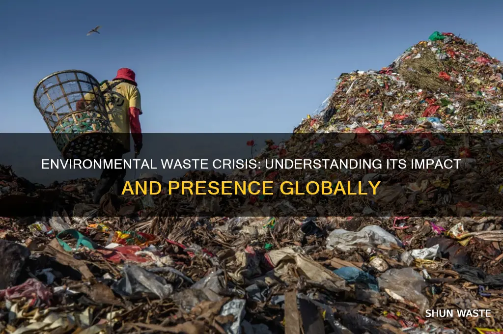what is the presence of waste in the environment