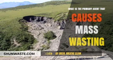 Understanding Mass Wasting: The Key Trigger Behind Landslides and Erosion