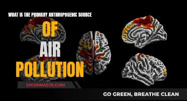 Air Pollution: Human Activities and Their Impact