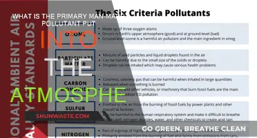 Air Pollution: Man-Made Atmospheric Toxins Explained