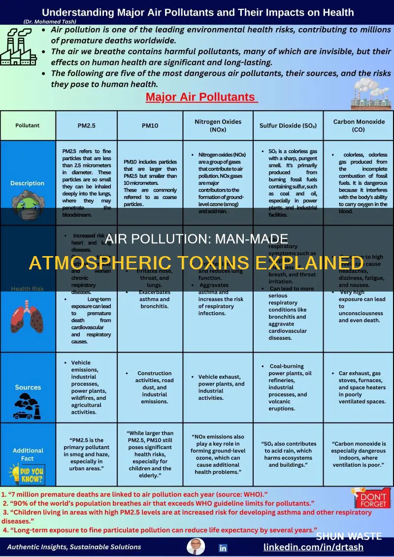 what is the primary man-made pollutant put into the atmosphere