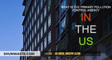 US Pollution Control: Who's in Charge?