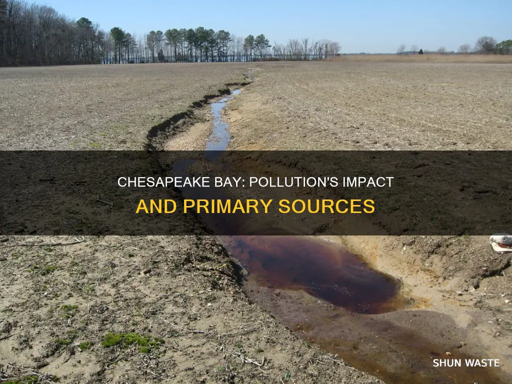 what is the primary pollution in the chesapeake bay watershed