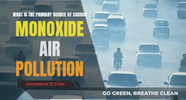 Carbon Monoxide Pollution: Understanding the Primary Source