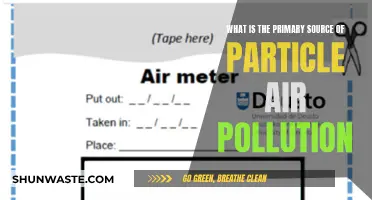 Sources of Particle Pollution: What's in the Air?