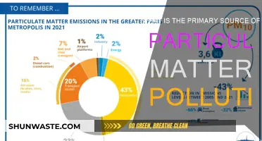 Particulate Matter Pollution: What's the Main Source?
