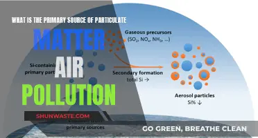 Understanding Particulate Matter: Sources of Air Pollution