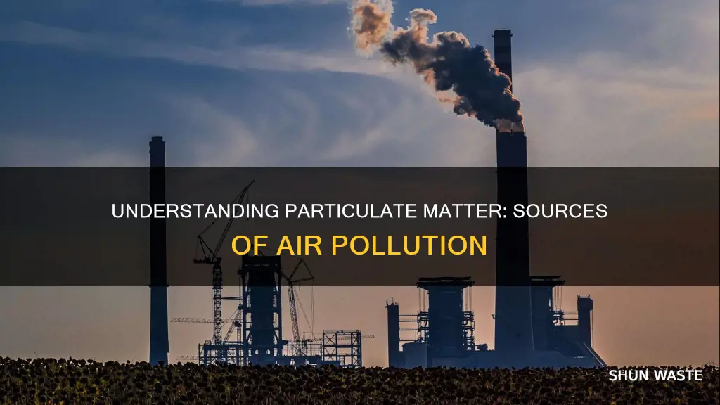 what is the primary source of particulate matter air pollution