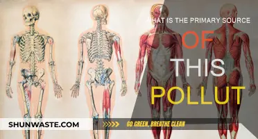 The Primary Source of Pollution: Unveiling the Mystery