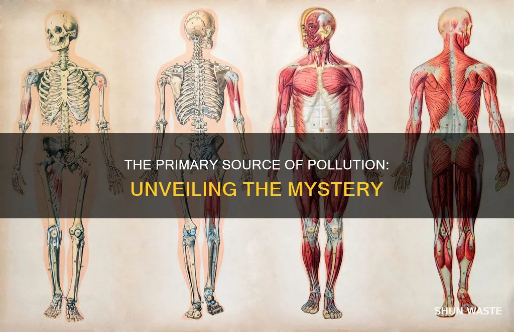 what is the primary source of this pollutant