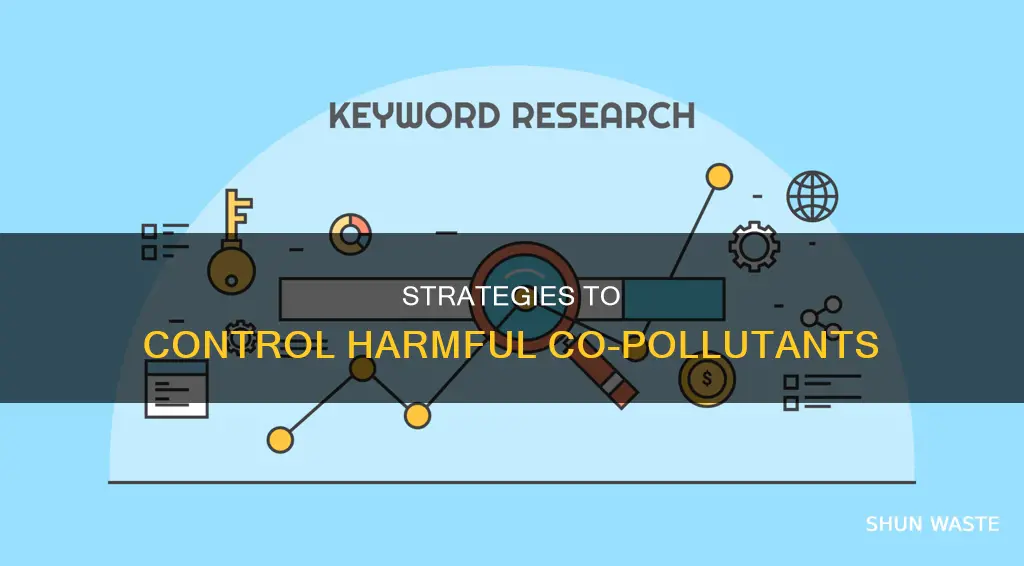 what is the primary technique used to control co pollutants