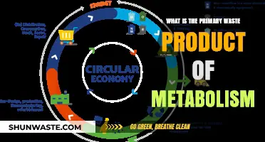 Understanding Metabolism: The Primary Waste Product and Its Impact