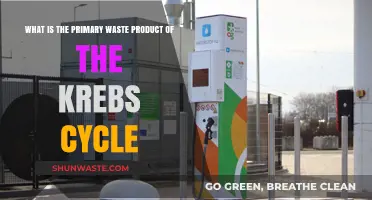 Understanding the Krebs Cycle: Primary Waste Product Explained