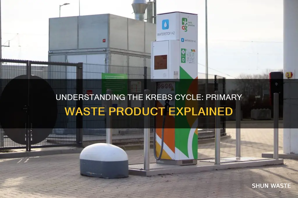 what is the primary waste product of the krebs cycle
