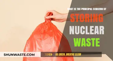 Storing Nuclear Waste: Addressing the Primary Environmental and Safety Concerns
