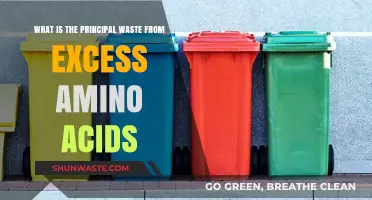 Excess Amino Acids: Understanding the Primary Waste and Its Impact