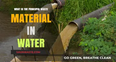 Understanding the Primary Waste Contaminant in Our Water Sources