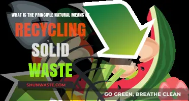 Nature's Recycling Power: How Earth Naturally Processes Solid Waste
