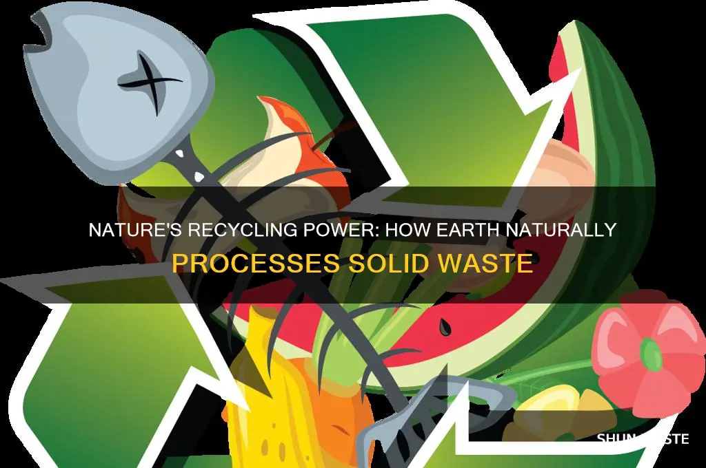 what is the principle natural means of recycling solid waste