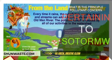 Stormwater's Principle Pollutant: A Concern for the Environment