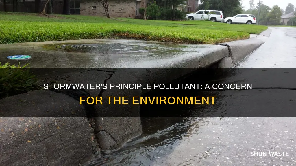 what is the principle pollutant concern pertaining to sotormwater