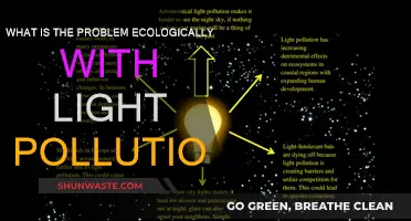Light Pollution: Ecological Impact and Solutions