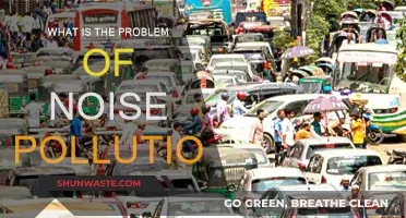 Noise Pollution: A Disturbing Problem