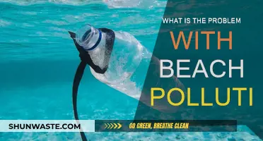 Beach Pollution: A Growing Environmental Concern