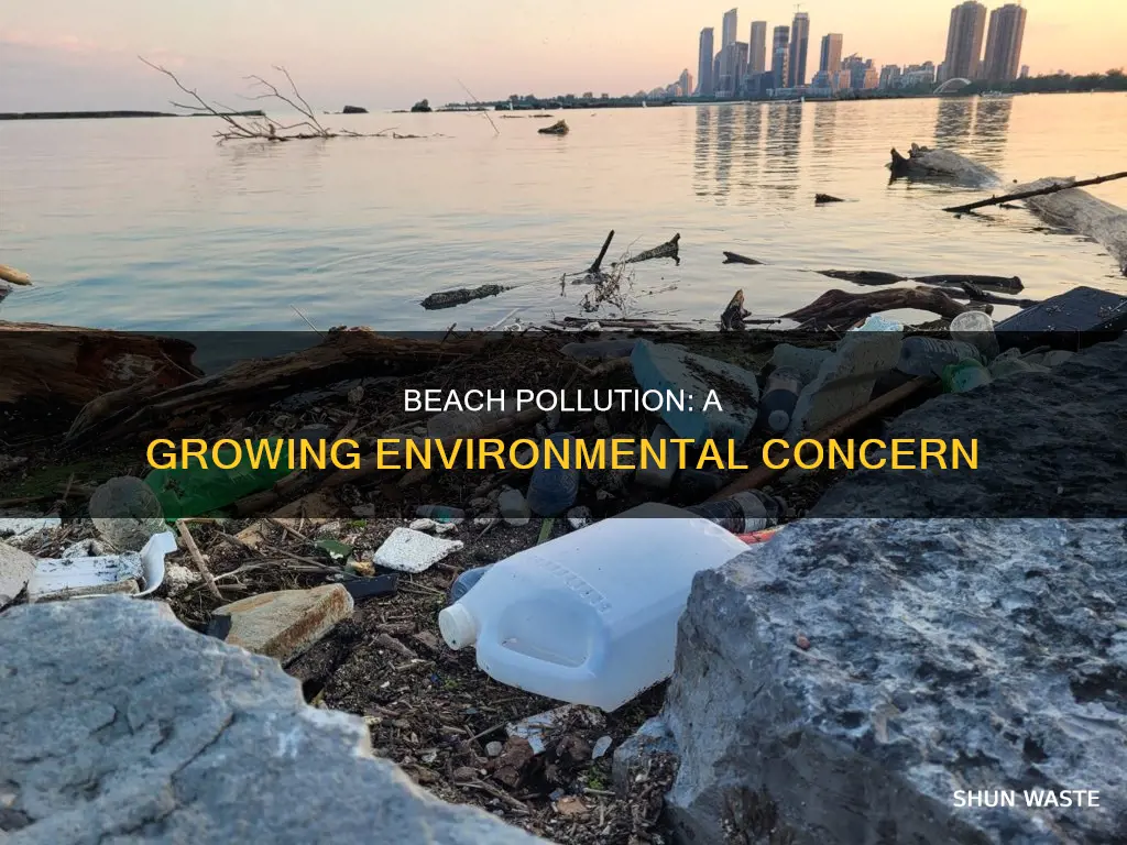 what is the problem with beach pollution