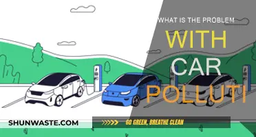 Car Pollution: A Hazardous Problem