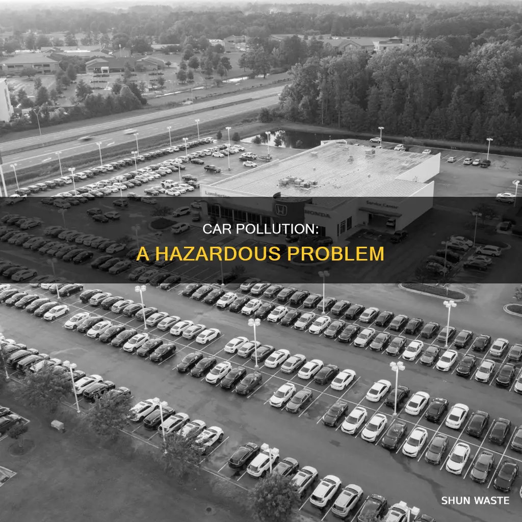what is the problem with car pollution