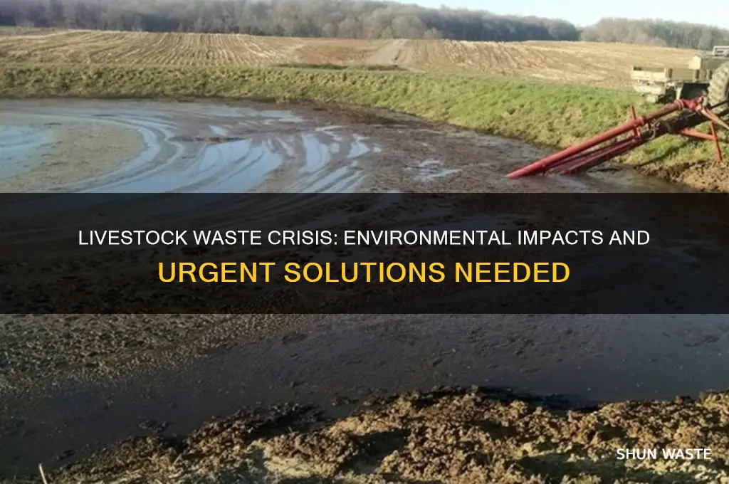 what is the problem with livestock waste