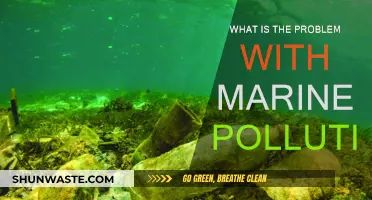 The Ocean's Pollution Crisis: What's the Problem?