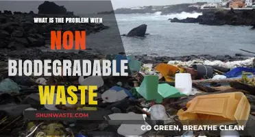 The Growing Crisis of Non-Biodegradable Waste: A Global Threat