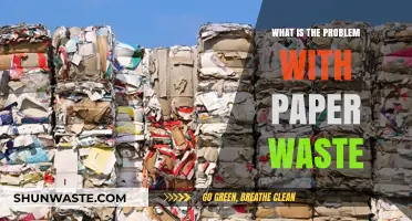 The Hidden Environmental Crisis: Paper Waste's Impact and Solutions