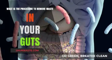 Effective Gut Cleansing: How to Remove Waste and Improve Digestion