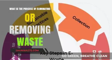 Efficient Waste Elimination: A Comprehensive Guide to Removing Waste
