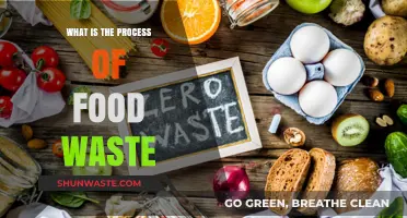 Understanding Food Waste: A Step-by-Step Guide to Reduction