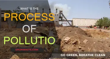 Understanding Pollution: A Process Explained