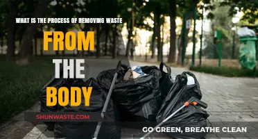 Understanding the Body's Natural Waste Removal Process: A Comprehensive Guide