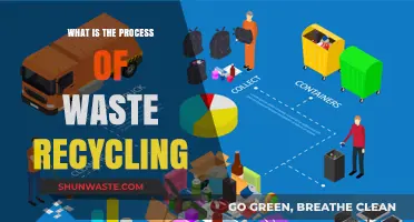 Understanding the Comprehensive Process of Waste Recycling for a Greener Future