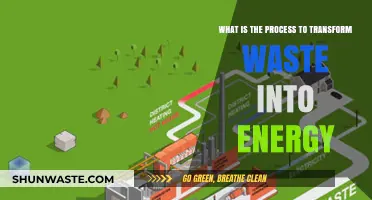 Transforming Waste into Energy: A Sustainable Power Generation Process