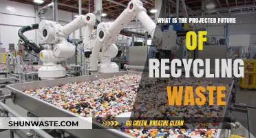 The Future of Recycling: Innovations, Challenges, and Sustainable Solutions