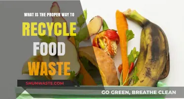 Sustainable Practices: The Correct Method to Recycle Food Waste