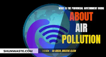 Air Pollution: Provincial Government Initiatives and Interventions